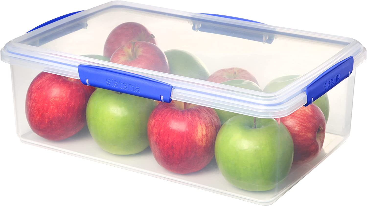 ExtraLarge Food Storage Container with Locking LidBPAFree Space