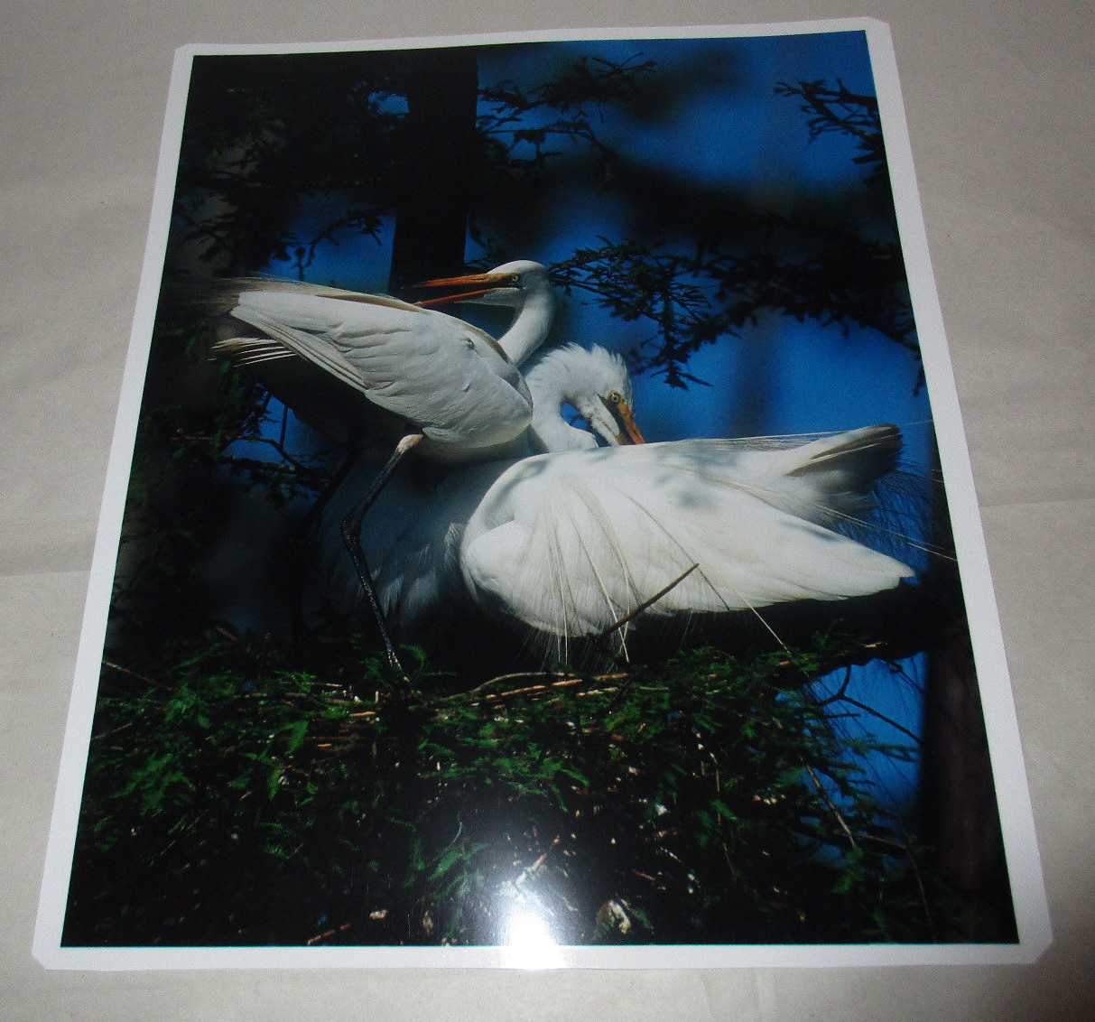 Picture 1 of 5