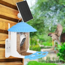 Solar Smart Bird Feeder with Camera1080P Video AI Identify +10,000 Bird Species