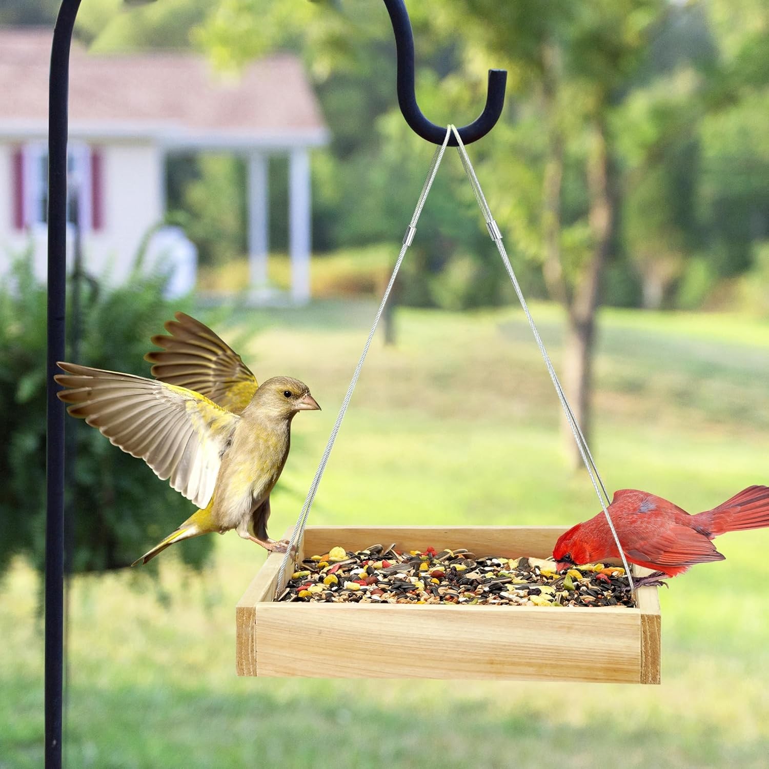 TT Nature Platform Bird Feeder for Outdoor, Eco-Friendly Wood Hanging Tray... 