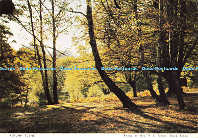 D161743 Herbstszene.Die Royal British Legion. Richter. Mrs. P. E. Turner