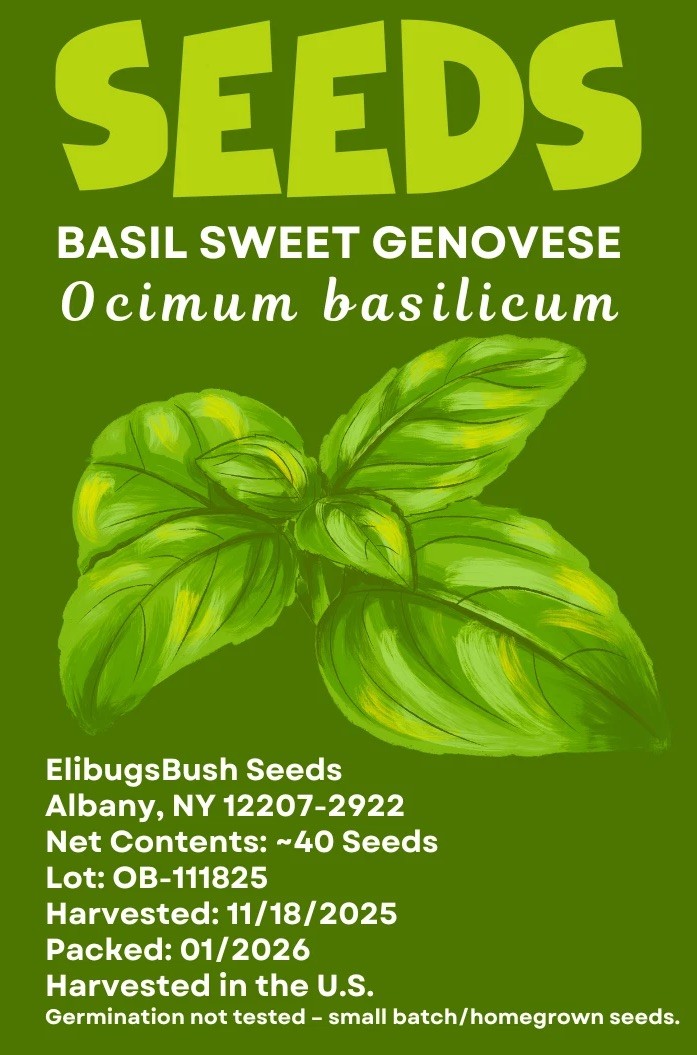 Handpicked 40+ Sweet Basil Seeds for Planting -Free Shipping &ldquo;Ocimum basilicum&rdquo;