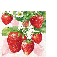 20 Kleine Cocktailservietten Strawberry Fruits Cream Erdbeeren FrüChte 25X25Cm