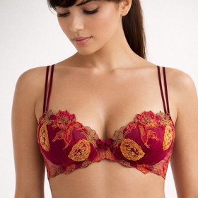 Lise Charmel Couture Pineapple Embroidery Bra and brief