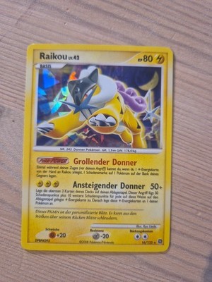 Raikou Holo Pokemon