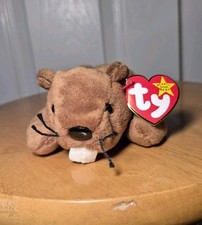 Ty Beanie Baby babies BUCKY the BEAVER DOB 6-8-1995 FREE Shipping  MINT