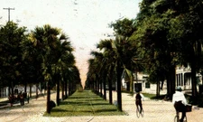 Jacksonville, Fl. Postcard Bikes and Horse Carriage Riding Down Main St. c.1906