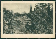 Arezzo Chitignano FG cartolina ZK0783