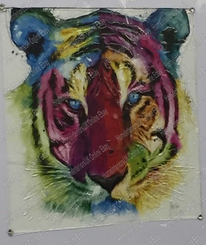 Tiger's face multi-coloured with liquid art & 2 tone or mirror frame pictures - Picture 14 of 21