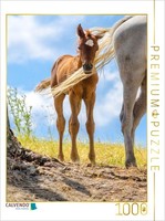 Calvendo Puzzle Arabian Foal Gone With The Wind | 1000 Pieces, Finished Size 25.