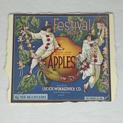Festival Brand PAJARO VALLEY FANCY QUALITY APPLES LUCICH Wukasovich California