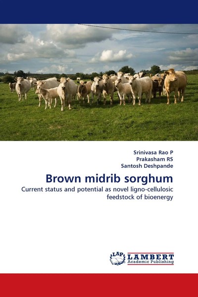 Srinivasa Rao P (U. A.) | Brown Midrib Sorghum | Taschenbuch | Englisch (2010)-image