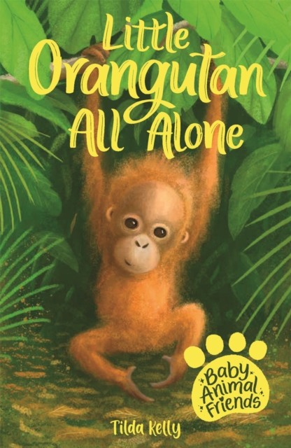 Baby Animal Friends: Little Orangutan All Alone by Tilda Kelly (Paperback Book)