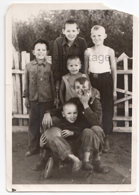 Kids Friends Pet Cute cat Kitty Handsome young boys USSR original vintage photo