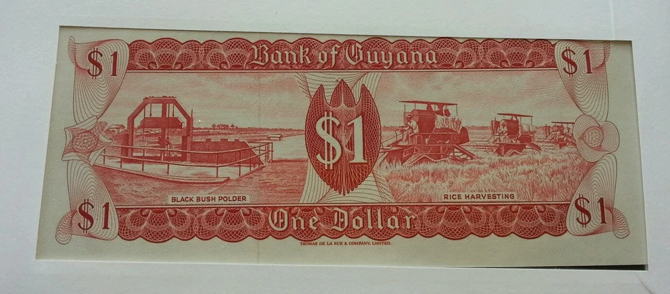 Guyana Traditional Houses 1985 Village Hunter Daily FDC (portada de billete) *raro Foto 3 de 4