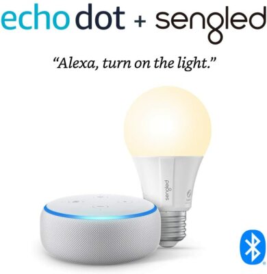 echo dot sengled