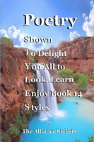 Poetry Styles Book Fourteen Alliance Stylists Taschenbuch Englisch 2017 [.]