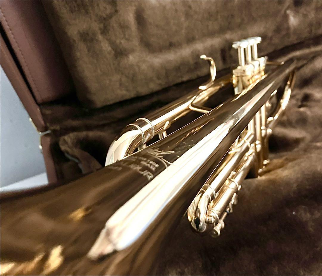 Weril Trumpet Excalibur E971, Natural Curve, High Quality | eBay Weril Trumpet Excalibur E971, Natural Curve, High Quality | eBay