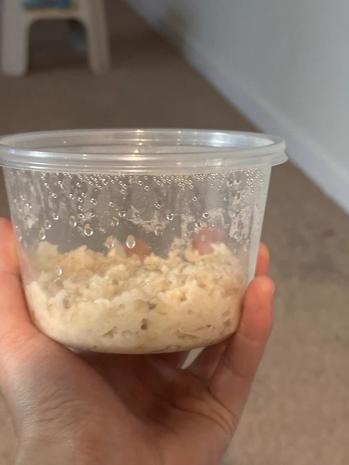 Microworm 6 0z cultivo de alimentos para peces vivos | Perfecto para freír peces Foto 2 de 3