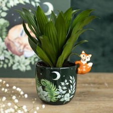 Green Forest Planter Woodland Plants Red Fox Design Ceramic Small  Plant Pot
