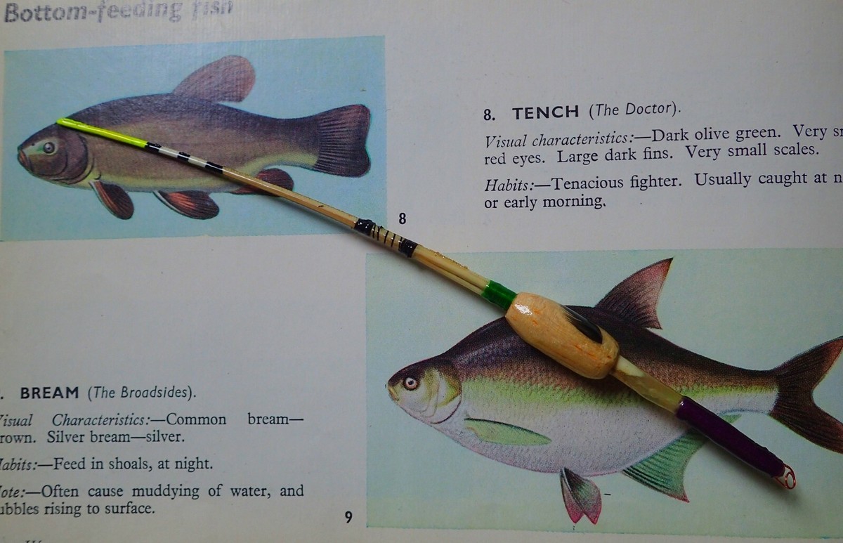 Float Specimen Tench Rigs Lift Method Tench Float Rig Maver