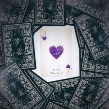 Fae Realm Playing & Oracle Cards 54-Card Fairy Deck |