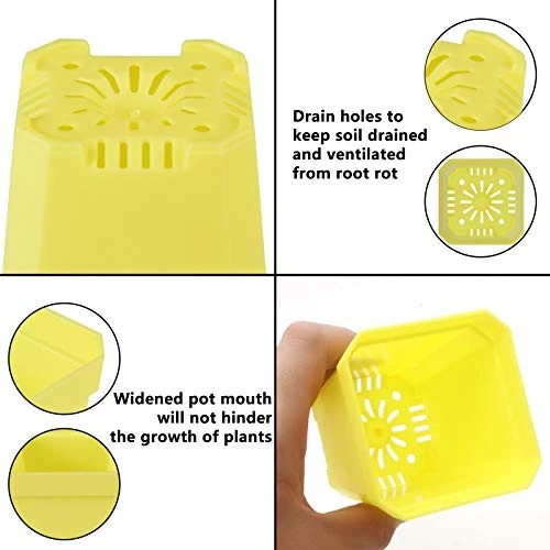  30 Pcs 3" Plants Nursery Pot, Thick Plastic Square Colorful Flower Multicolor - Image 4 of 4