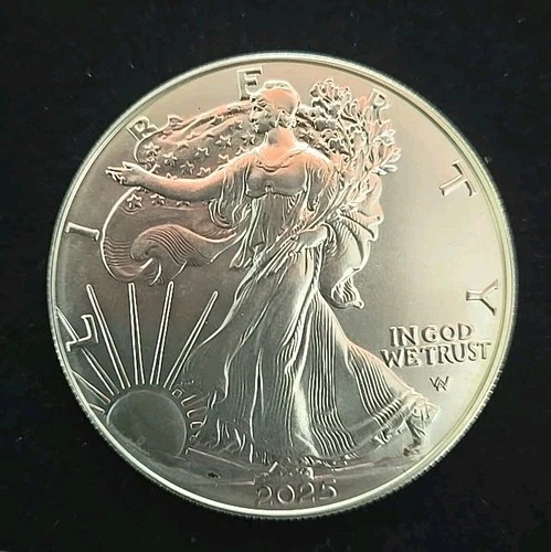 2025 (P) $1 American Silver Eagle Eagle  1 oz .999 Fine Silver BU