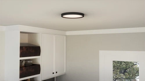 Quoizel OST1711 Outskirts 11"W LED Flush Mount Ceiling Fixture - Fresco - Picture 2 of 12