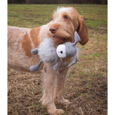 Rosewood - FLOPPY FESTIVE DOG