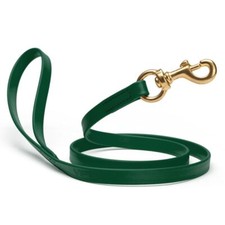 Dog Pet Leash with Brass Hardware W 3/4  L 6 FT Hunter Green