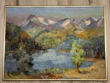 Delyth Oil on panel "Patagonia Argentina Mountain Lake " Excellent Condition
