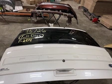 Trunk/Hatch/Tailgate Privacy Tint Glass Power Lift Fits 13-19 FLEX 593341