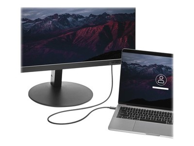 StarTechcom Thunderbolt 3 20Gbps USB-C Digital/Data Cable TBLT3MM2M