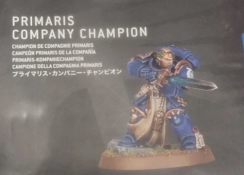Primaris Company Champion Warhammer 40k, New On Sprue, Combat Patrol