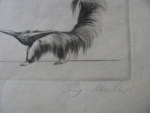 RICHARD MÜLLER, 1874 - 1954 " UNA RICHIESTA II " ACQUAFORTE 1922 firmata - Foto 3 di 4