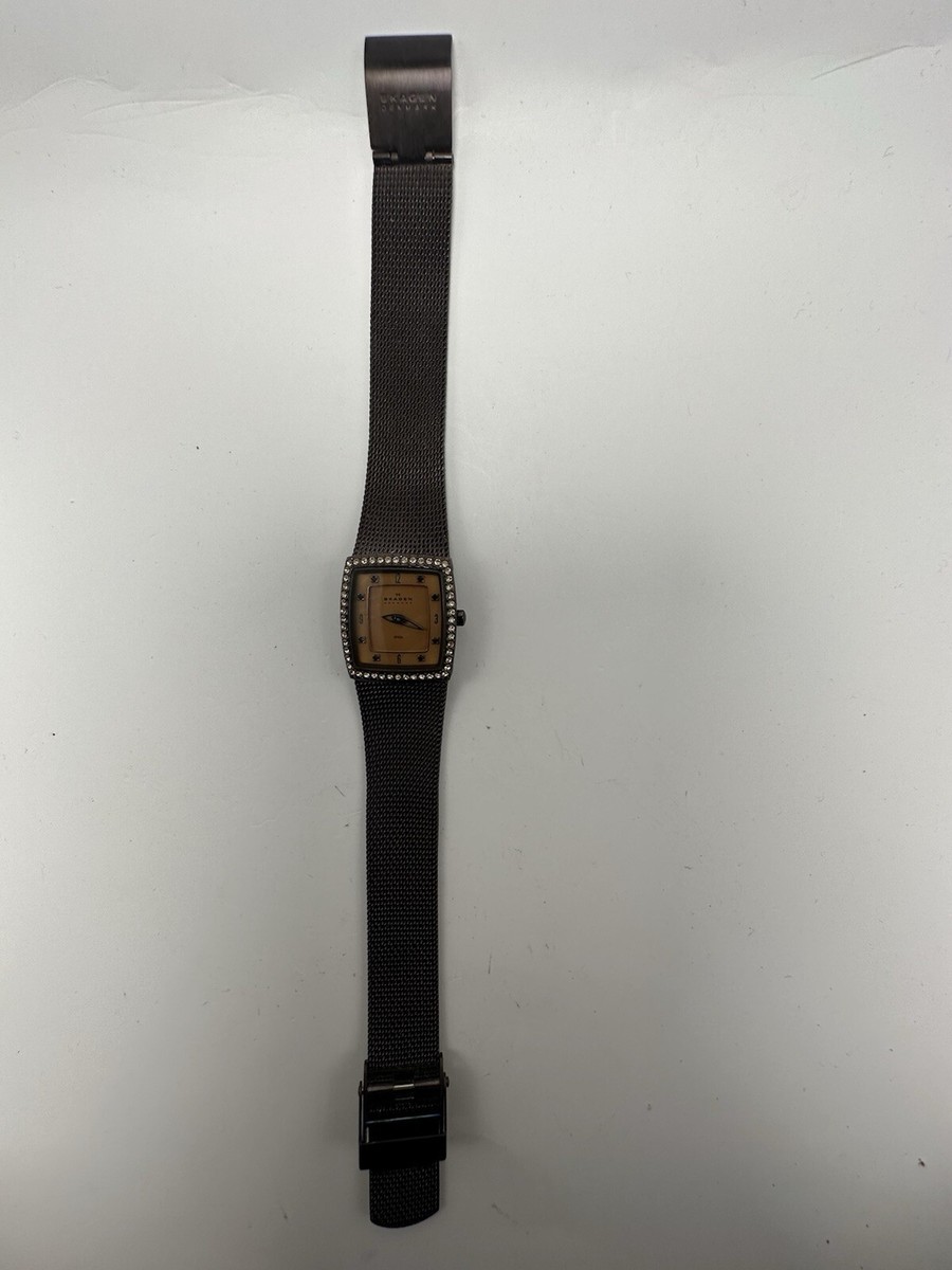 Skagen 384XSMM Ladies Watch New Battery 21MM 8