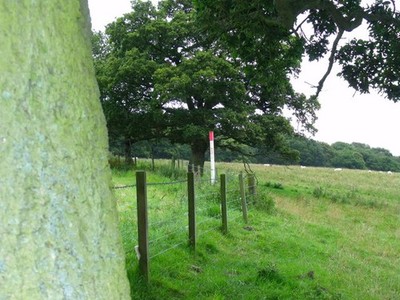 Foto A2 Rohrleitungsmarkierung bei Berryhill Wood nordwestlich von Morpeth Stant c2011