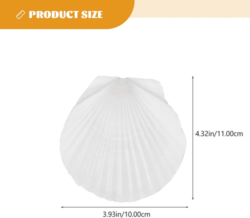 Kisangel 10Pcs Sea Shells Natural Scallop Shells Bulk DIY Craft Sea Shells fo... - Picture 2 of 12