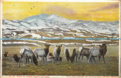 R608438 When the Twilight Shadows Fall Elk W S and A F Berry Nr 34 1906