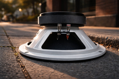 RESILIENT SOUNDS RS 10M 300w rms 4ohm 10'' speaker 