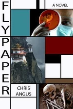Flypaper: A Novel by Chris Angus