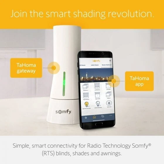 Somfy rts alexa sale