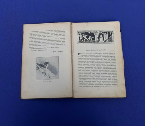 Richard Ungewitter Alastomuus 1907 Nudity in an Historical, Hygienic, Moral Arti - Picture 6 of 12