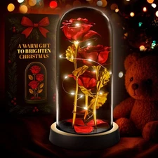 KETAR Rose in Glass Dome – LED Glass Rose Flower Lights, Romantic Flowers