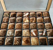Vintage Herbal Apothecary Dried Specimen Medicine Kit 1900s Case Oddity Science