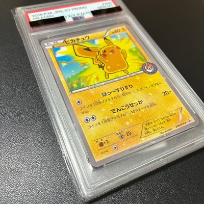 Pokemon Card Pikachu promo 206/XY-P PSA10 Very Rare | eBay