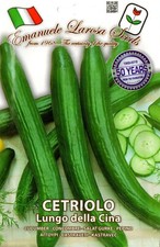 80 Semi / Seeds CETRIOLO Lungo della Cina ( Serpente Cinese )