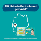 Bild 3 von 12