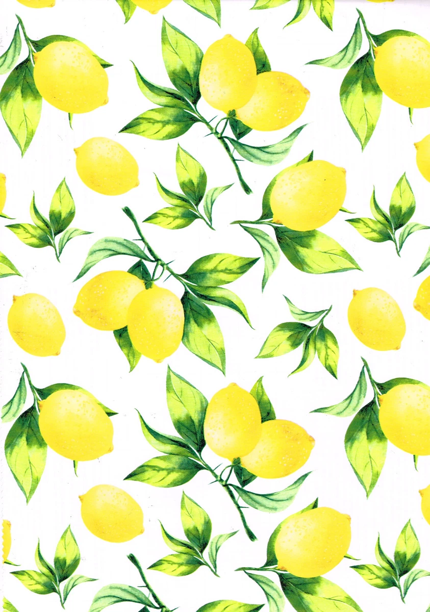 Lemon background 2024
